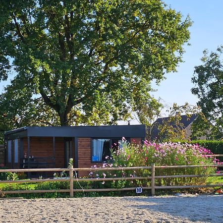 Houten Huisje Tussen Paarden Nieuwerkerken Zewnętrze zdjęcie