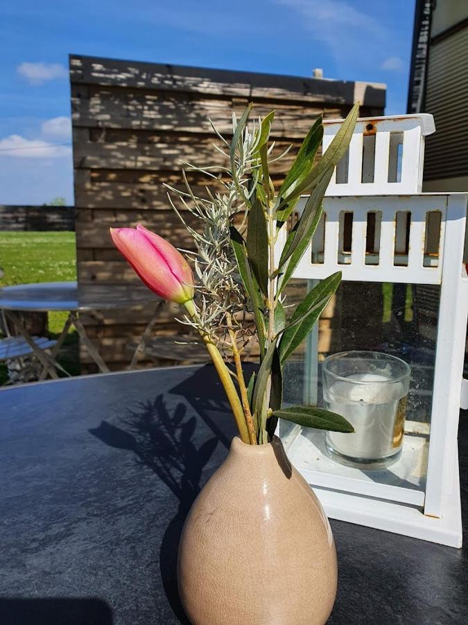 Houten Huisje Tussen Paarden Nieuwerkerken Zewnętrze zdjęcie