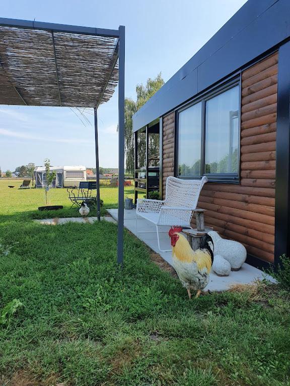 Houten Huisje Tussen Paarden Nieuwerkerken Zewnętrze zdjęcie