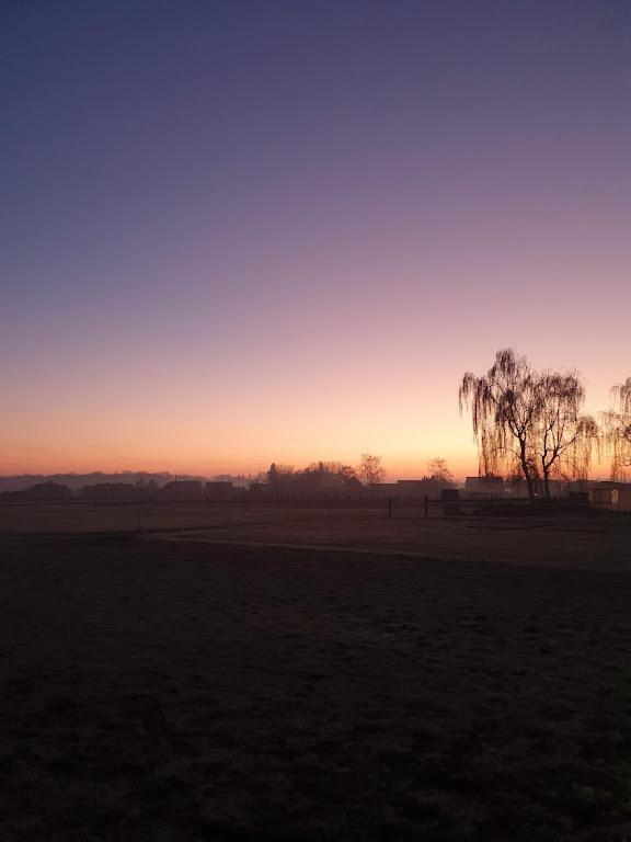 Houten Huisje Tussen Paarden Nieuwerkerken Zewnętrze zdjęcie