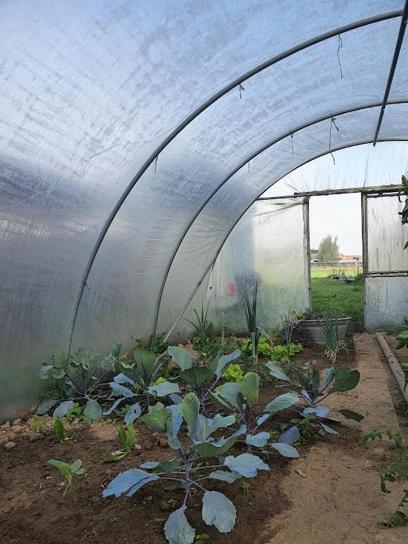 Houten Huisje Tussen Paarden Nieuwerkerken Zewnętrze zdjęcie