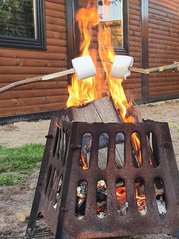Houten Huisje Tussen Paarden Nieuwerkerken Zewnętrze zdjęcie