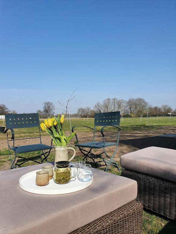 Houten Huisje Tussen Paarden Nieuwerkerken Zewnętrze zdjęcie