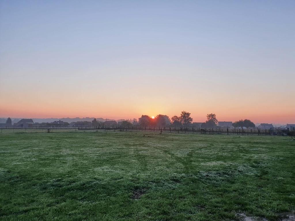 Houten Huisje Tussen Paarden Nieuwerkerken Zewnętrze zdjęcie