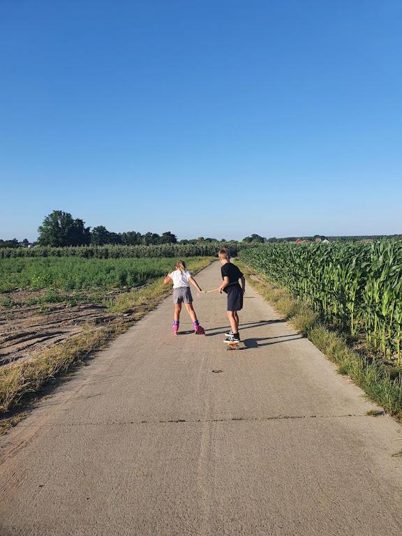 Houten Huisje Tussen Paarden Nieuwerkerken Zewnętrze zdjęcie