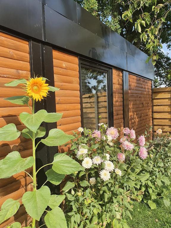 Houten Huisje Tussen Paarden Nieuwerkerken Zewnętrze zdjęcie