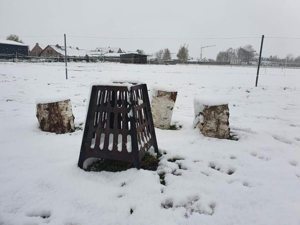 Houten Huisje Tussen Paarden Nieuwerkerken Zewnętrze zdjęcie