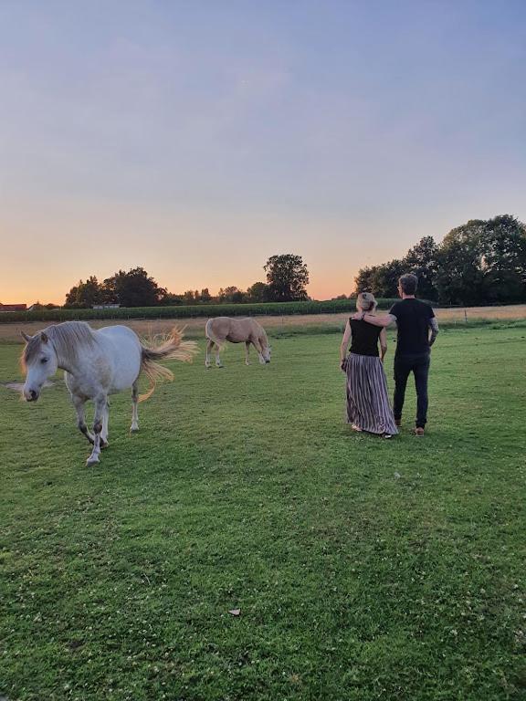 Houten Huisje Tussen Paarden Nieuwerkerken Zewnętrze zdjęcie