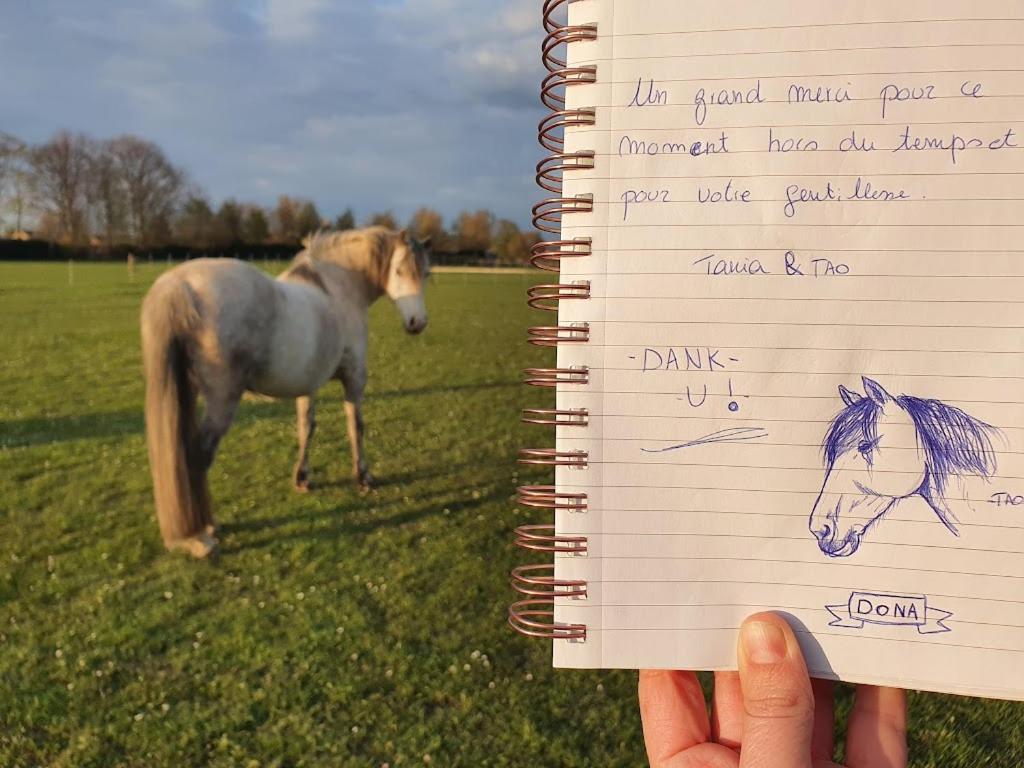 Houten Huisje Tussen Paarden Nieuwerkerken Zewnętrze zdjęcie